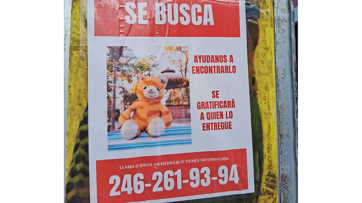 cartel de busueda peluche